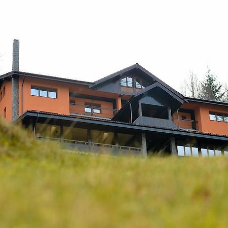 Pensiunea Ayana Petroşani Eksteriør bilde